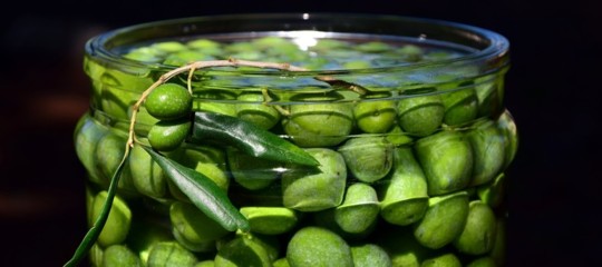 Perché cerchiamo su Google la ricetta delle olive in salamoia