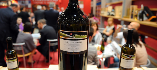 Il boom di vino italiano all’estero si fa coi Millennial e con i social