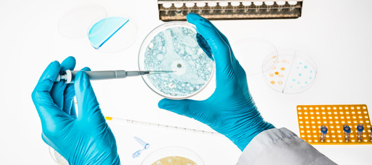 Perché lo stop di Pfizer alla ricerca sul Parkinson non è un segnale di resa