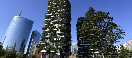 Il Bosco Verticale In Olanda E Per Le Case Popolari