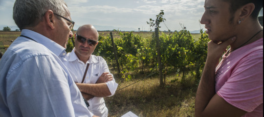 Perchè i fondi UE non bastano a convincere i giovani a lavorare in agricoltura