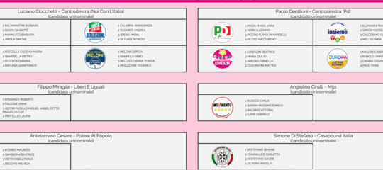 Con il TrovaCollegio scopri i candidati che potrai votare. Ecco le liste complete