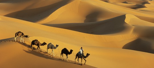 Un team guidato da La Sapienza, studiando il genoma, racconta di quando il Sahara era verde e ospitale