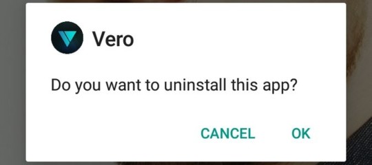 Non so se Vero durerà, ma un'alternativa a Facebook e Instagram è nell'aria