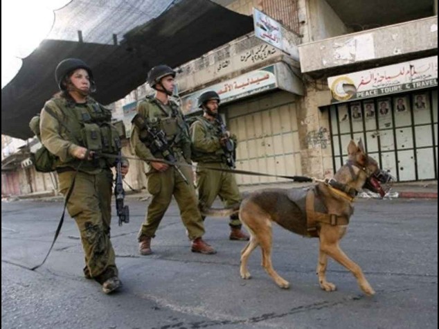 Rapito e ucciso ragazzo palestinese, cresce tensione