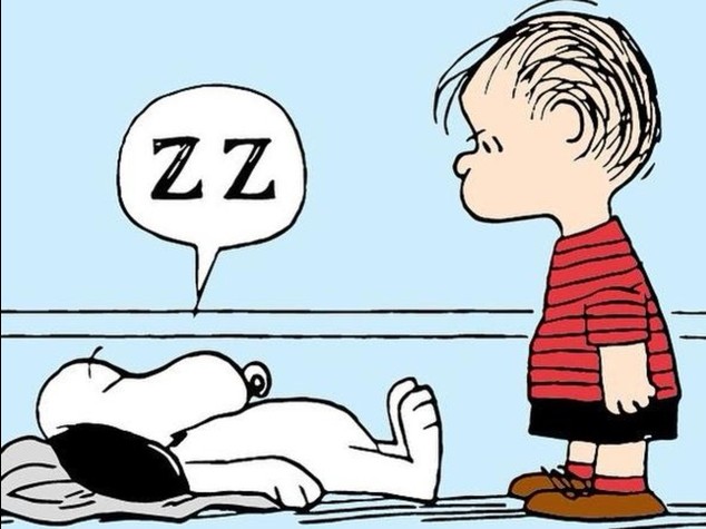 Dalla strage in Oregon al compleanno di Charlie Brown, le cinque notizie da non perdere oggi