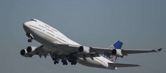 Se dovete volare con un animale a bordo, evitate la United Airlines