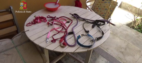 Picchiava la madre e la teneva al guinzaglio, arrestato un 21enne a Sanremo