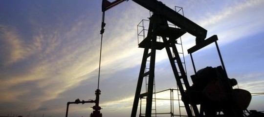 Egitto: Agiba raggiunge un traguardo storico di produzione