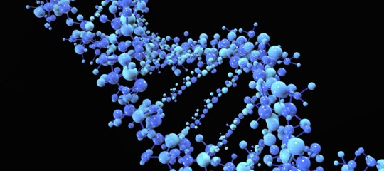 Come i genitori cambiano il Dna dei figli. Una ricerca