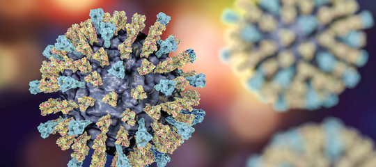 In Sicilia c'è un'epidemia di morbillo che ha già fatto 4 morti