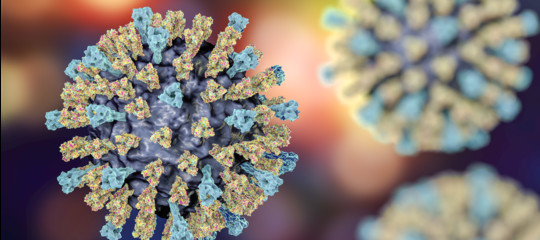 Ogni giorno miliardi di virus cadono sul nostro pianeta