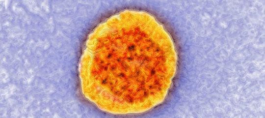 Ogni giorno miliardi di virus cadono sul nostro pianeta