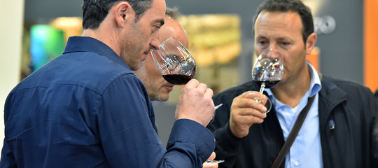 Il vino dei Carmelitani Scalzi di Venezia che ha conquistato il Vinitaly