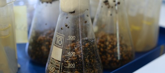 Il ruolo strategico dell'Italia nel contrasto all'agroterrorismo e alle epidemie agricole