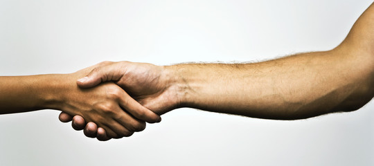 La stretta di mano dice chi siamo. Anche quanto a lungo vivremo