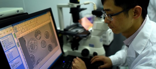 Cosa sono i blastoidi, i simil-embrioni realizzati in laboratorio in Olanda