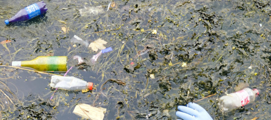 rifiuti salviettine umidificate inquinamento ambiente