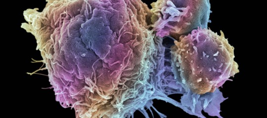 Non solo glifosato. Una nuova sinistra luce sui diserbanti