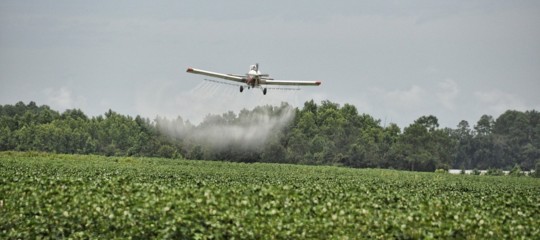 Non solo glifosato. Una nuova sinistra luce sui diserbanti