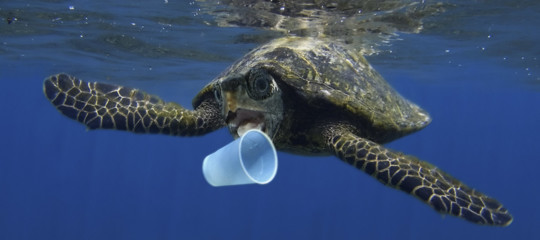 Siete pronti a dire addio a posate e piatti di plastica?