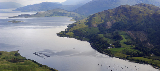 nessie mostro loch ness lago
