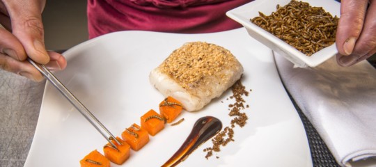 Food Innovation Program Olanda