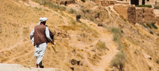 Afghanistan: Talebani, cessate il fuoco per fine Ramadan