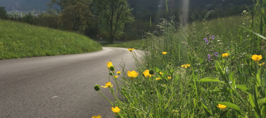 Sulla ciclabile del Piave alla riscoperta della storia e della biodiversità