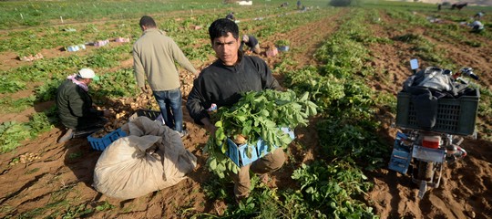 Povertà e disuguaglianza sugli scaffali dei supermercati