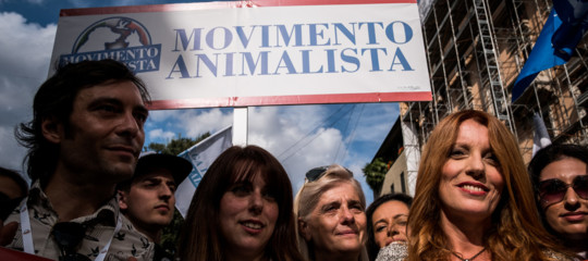 movimento animalista