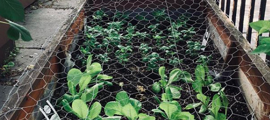 Hong Kong e Tokio passaggi obbligati per la Food Innovation Global Mission
