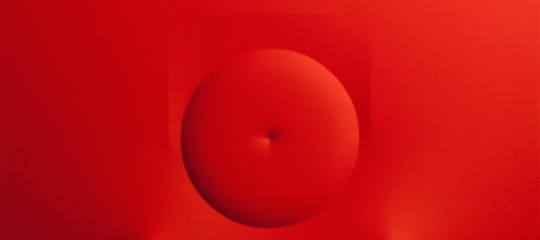 bonalumi mostra incidente palazzo reale