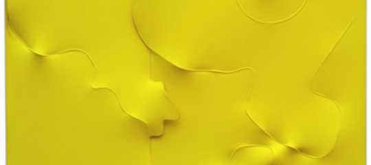 bonalumi mostra incidente palazzo reale
