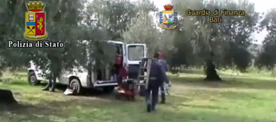 Quanti sono in Italia i 'para schiavi' che lavorano sotto caporalato agricolo