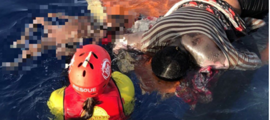 Il nuovo duro attacco di Saviano a Salvini e Toninelli dopo i morti in mare di questa notte