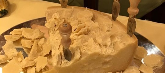 parmigiano oms