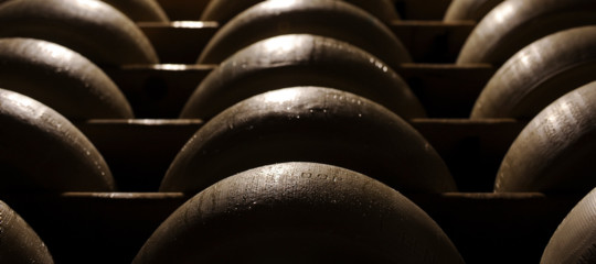 Come si è arrivati a parlare in Italia di Parmigiano nocivo alla salute. La storia, dall'inizio