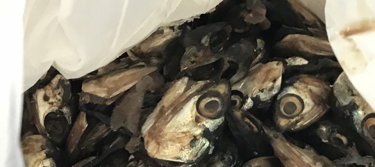 Omega-3? Sì, grazie. Ma dagli scarti del pesce