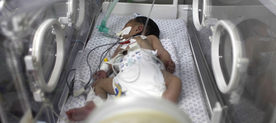 viagra placenta bambini olanda