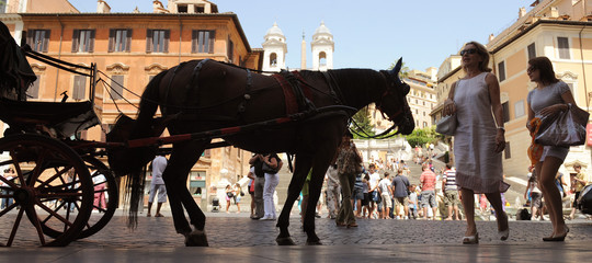 botticelle carrozze cavalli roma