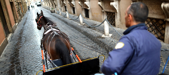 botticelle carrozze cavalli roma