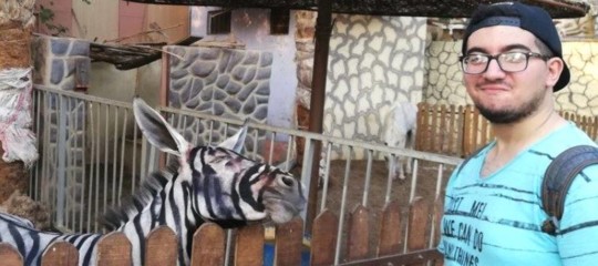Uno zoo egiziano spaccerebbe due asini dipinti per zebre