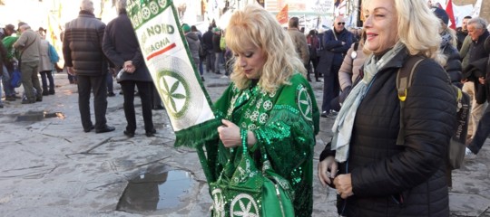 Lega: partito denuncia, militanti aggrediti a un gazebo a Firenze