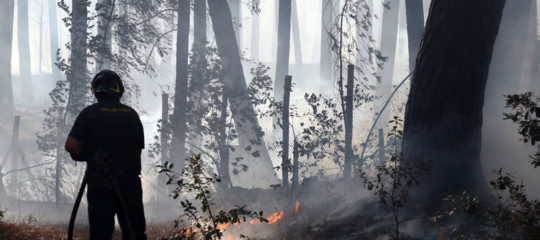 Il caldo e gli incendi di questo periodo sono ancora niente. Un rapporto