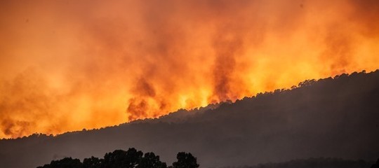 Il caldo e gli incendi di questo periodo sono ancora niente. Un rapporto