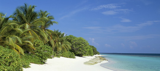 lavoro sogno libreria maldive