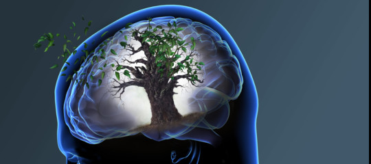 Alzheimer, la malattia incurabile che tormenta la scienza