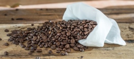sequenza genoma caffe