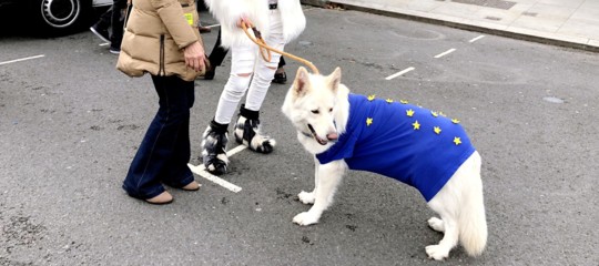 passaporto ue cani gatti brexit
